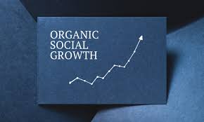 organic social growth, social media marketing, brand awareness,