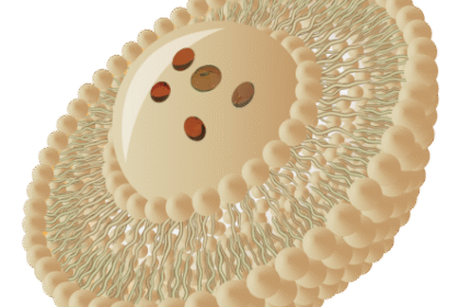 Visualization of Liposomal Encapsulation Technology improving ingredient stability