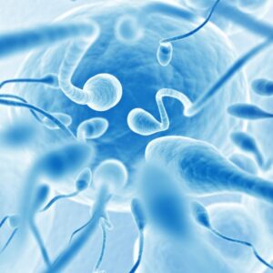 male fertility test cost